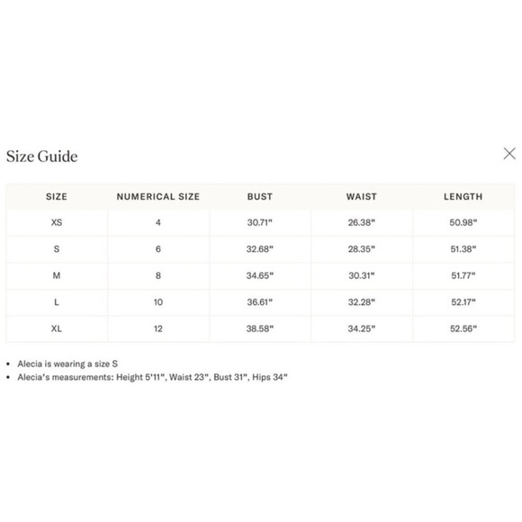 Pink City Prints Isabel Dress XS NWT Ornate Sky Blue Cotton Midi Smocked - Picture 12 of 13